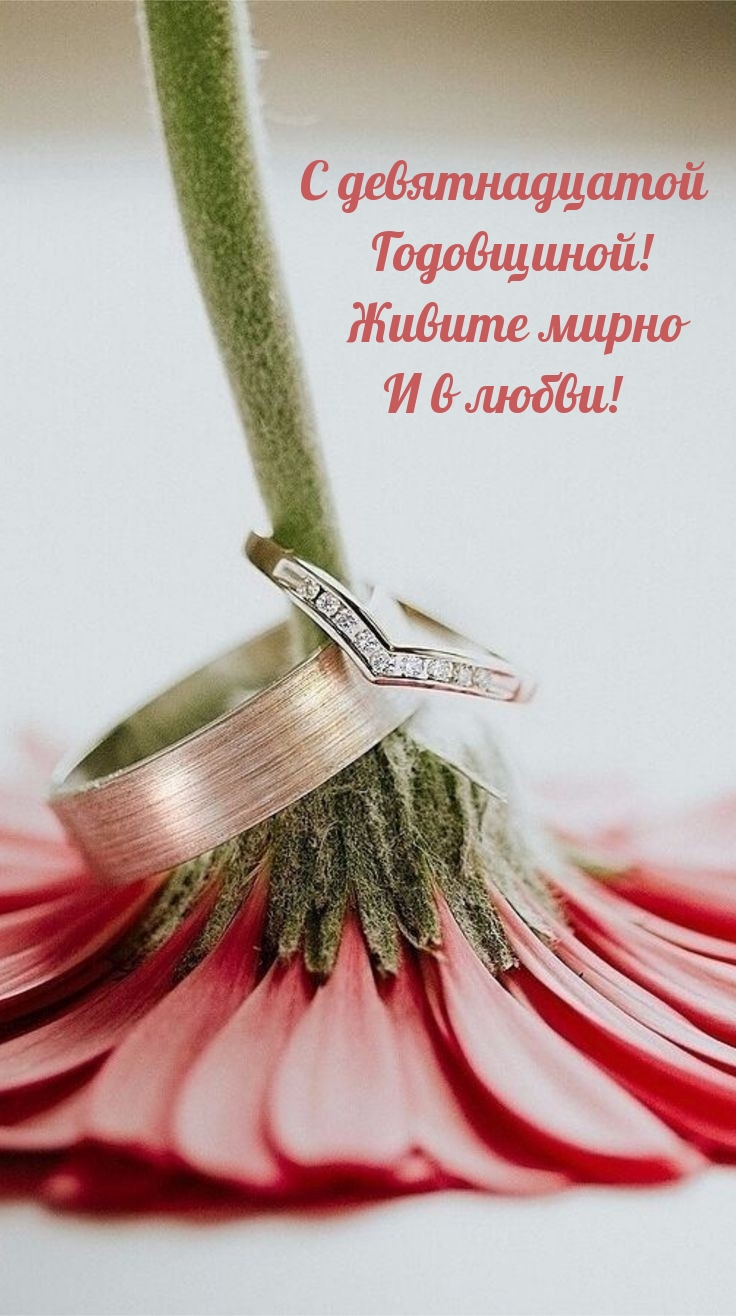 С девятнадцатой Годовщиной! Живите мирно и в любви!