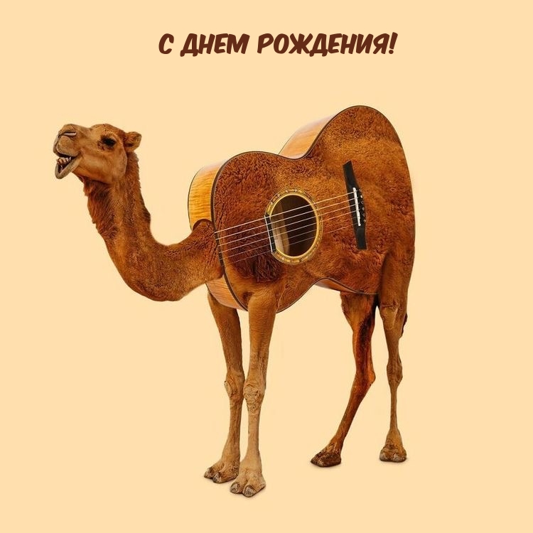 С ДНЕМ РОЖДЕНИЯ!
