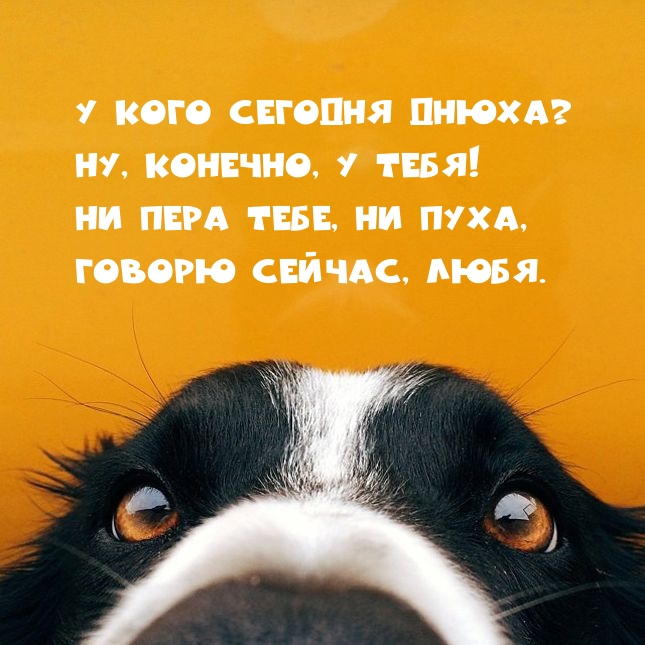 У кого сегодня днюха? Ну, конечно, у тебя!