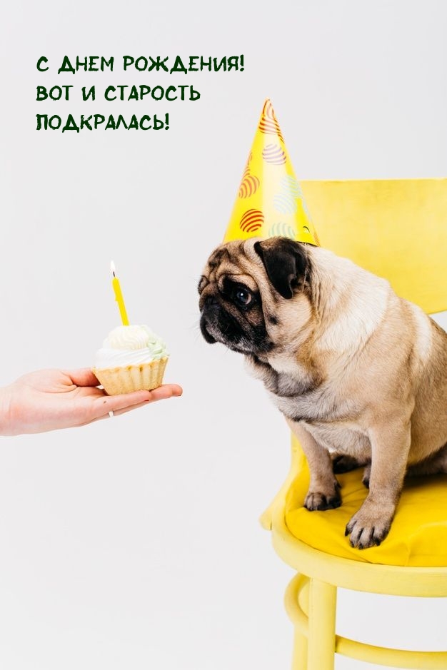 С днем рождения! Вот и старость подкралась!