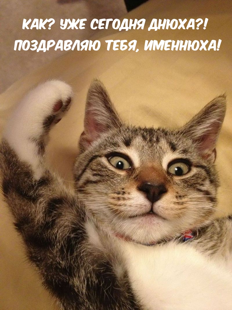 Как? Уже сегодня днюха?! Поздравляю тебя, именнюха!