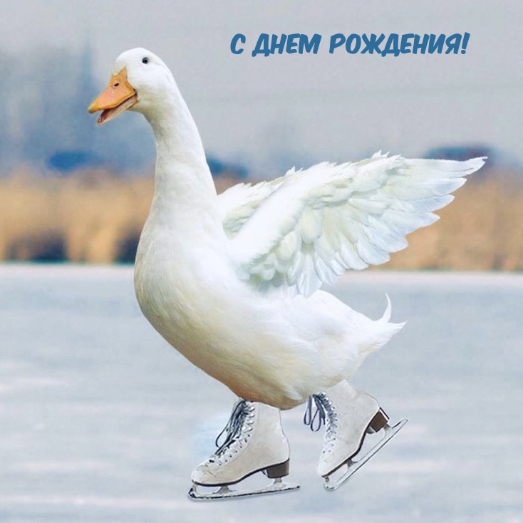 С ДНЕМ РОЖДЕНИЯ!