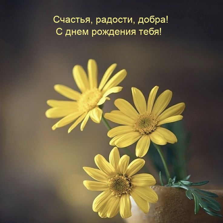 Счастья, радости, добра! С днем рождения тебя!