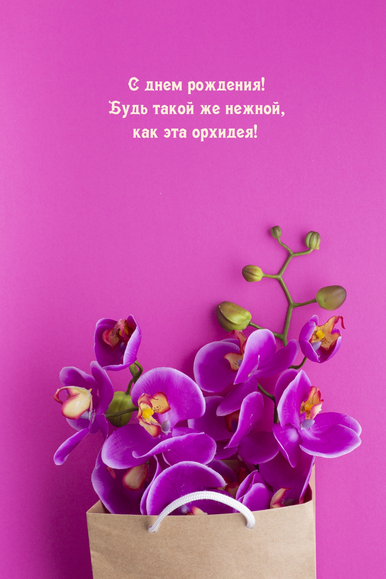 С днем рождения! Будь такой же нежной, как эта орхидея!