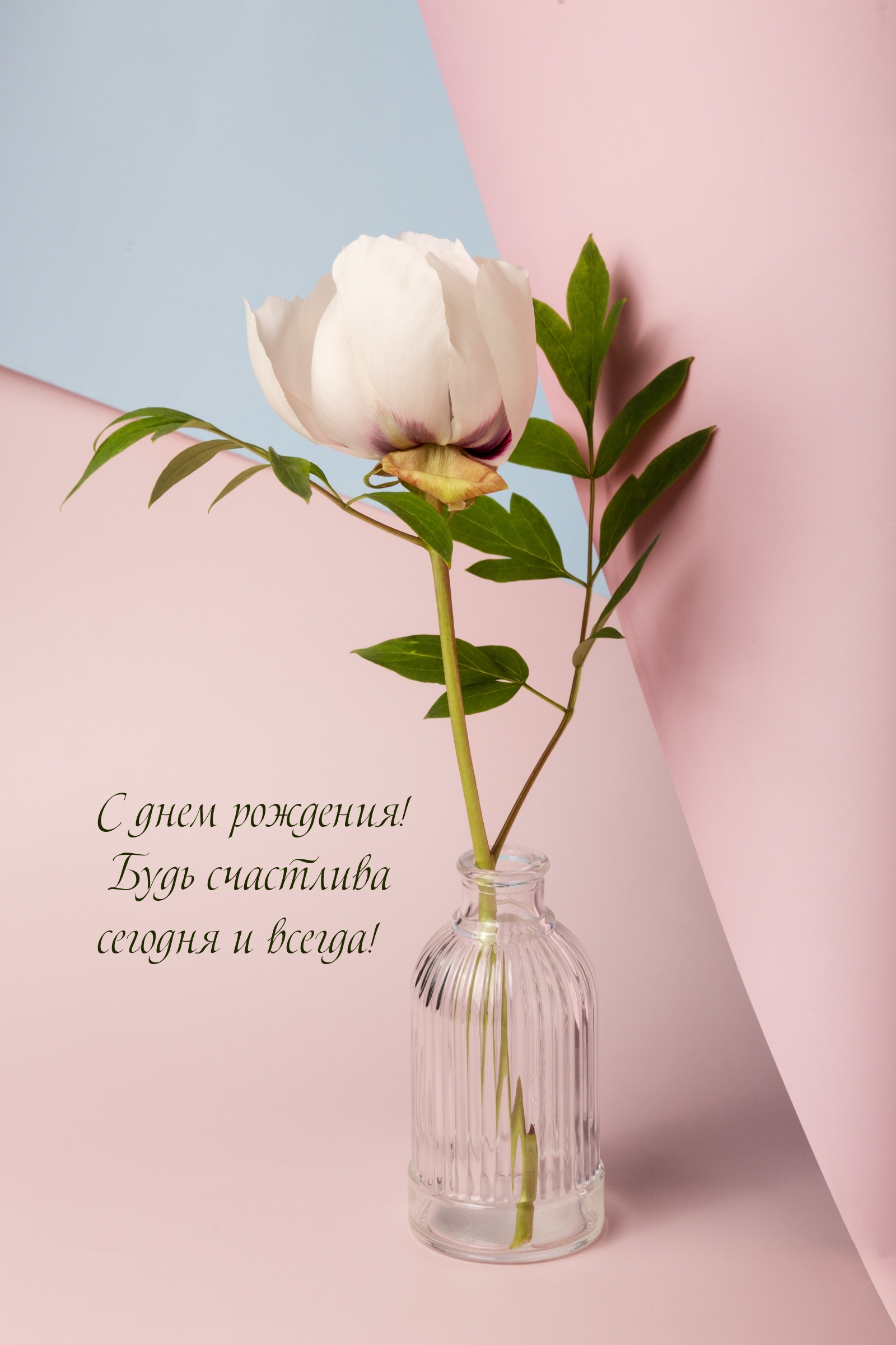 С днем рождения! Будь счастлива сегодня и всегда!