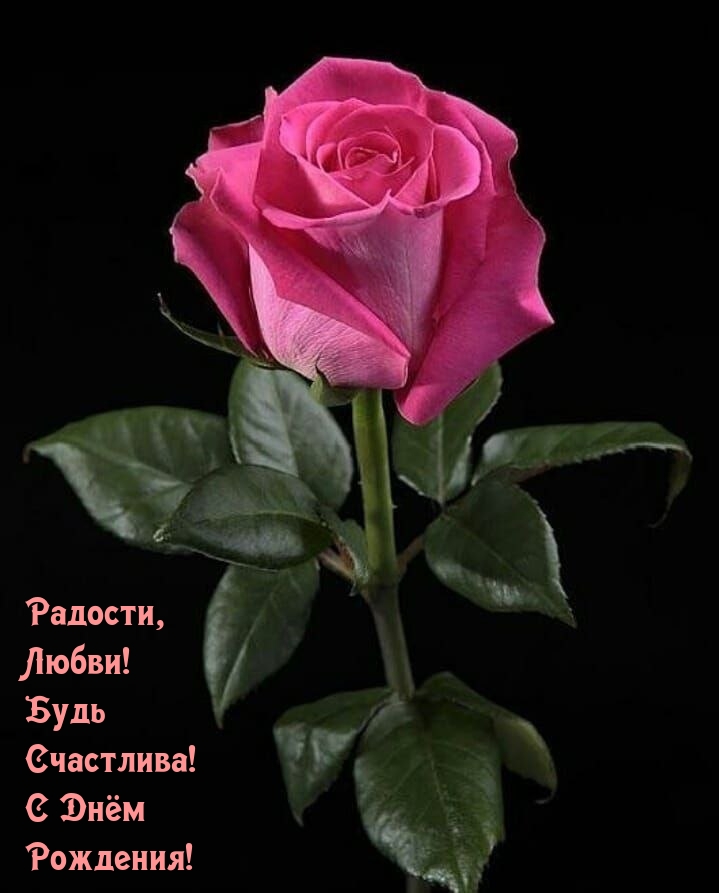 Радости, Любви! Будь Счастлива! С Днём Рождения!