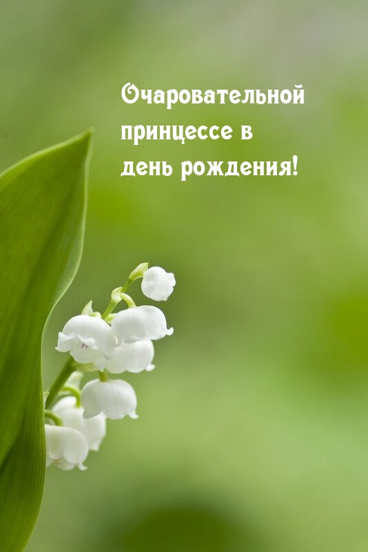Очаровательной принцессе в день рождения!
