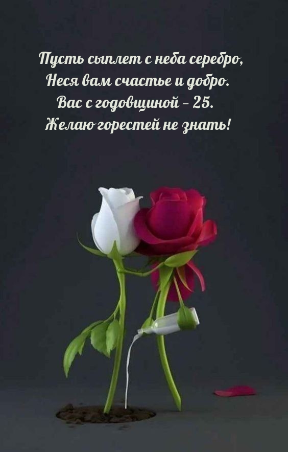 Вас с годовщиной — 25. Желаю горестей не знать!