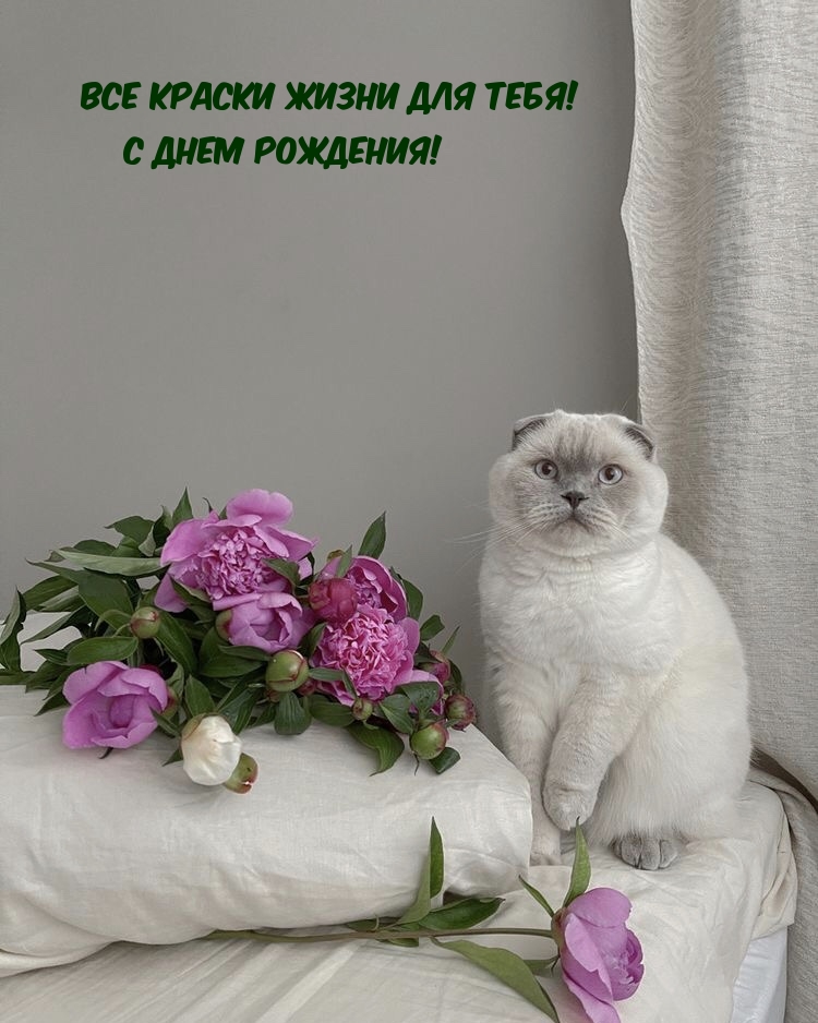 Все краски жизни для тебя! С ДНЕМ РОЖДЕНИЯ!