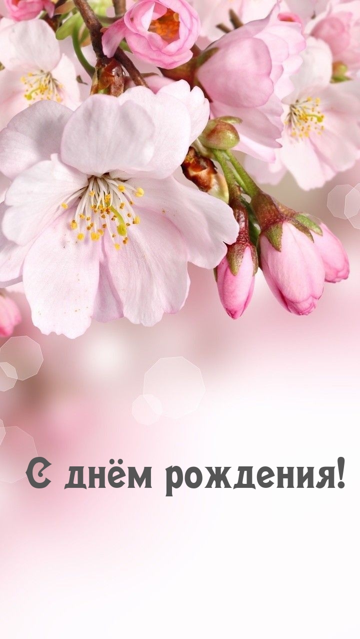 С днём рождения!