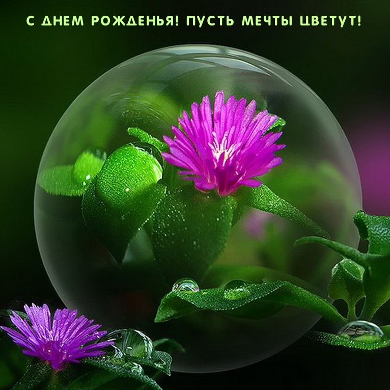 С днем рожденья! Пусть мечты цветут!