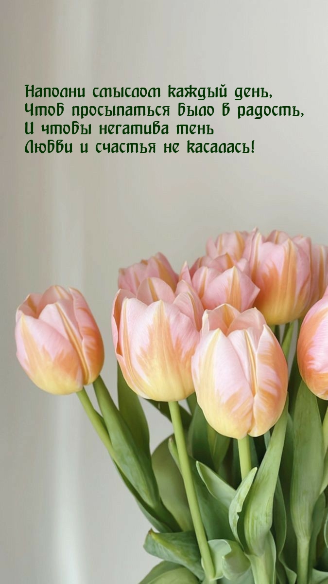 Наполни смыслом каждый день, чтоб просыпаться было в радость