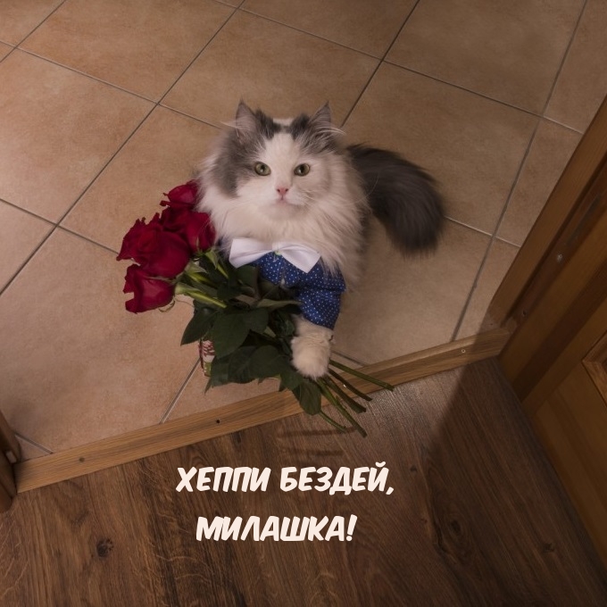 Хеппи бездей, Милашка!