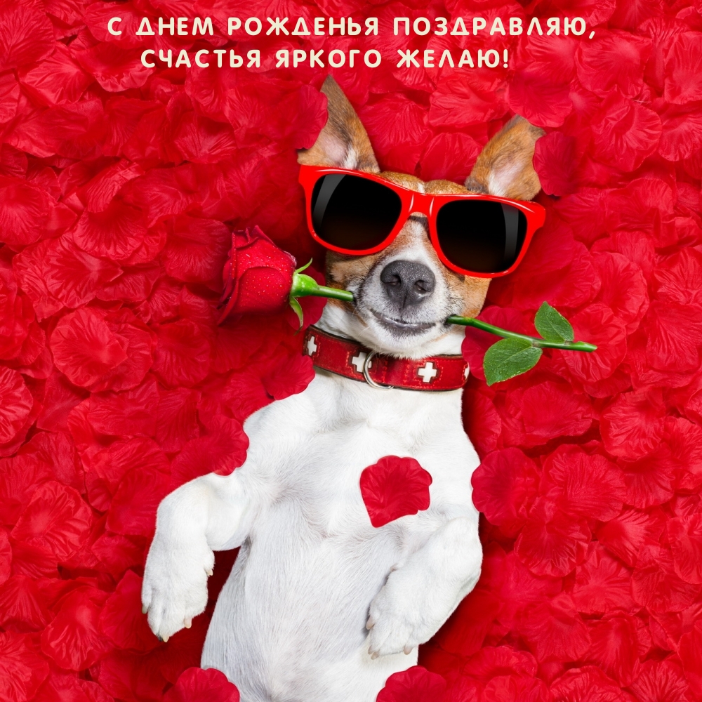 C днем рожденья поздравляю, Счастья яркого желаю!