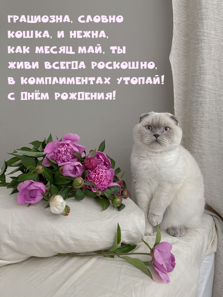 С Днём Рождения! Грациозна, словно кошка, и нежна
