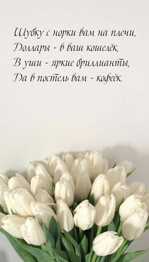 Шубку с норки вам на плечи, Доллары — в ваш кошелёк