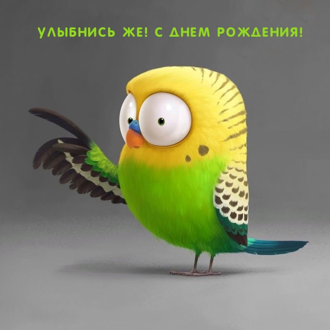 Улыбнись же! С днем рождения!