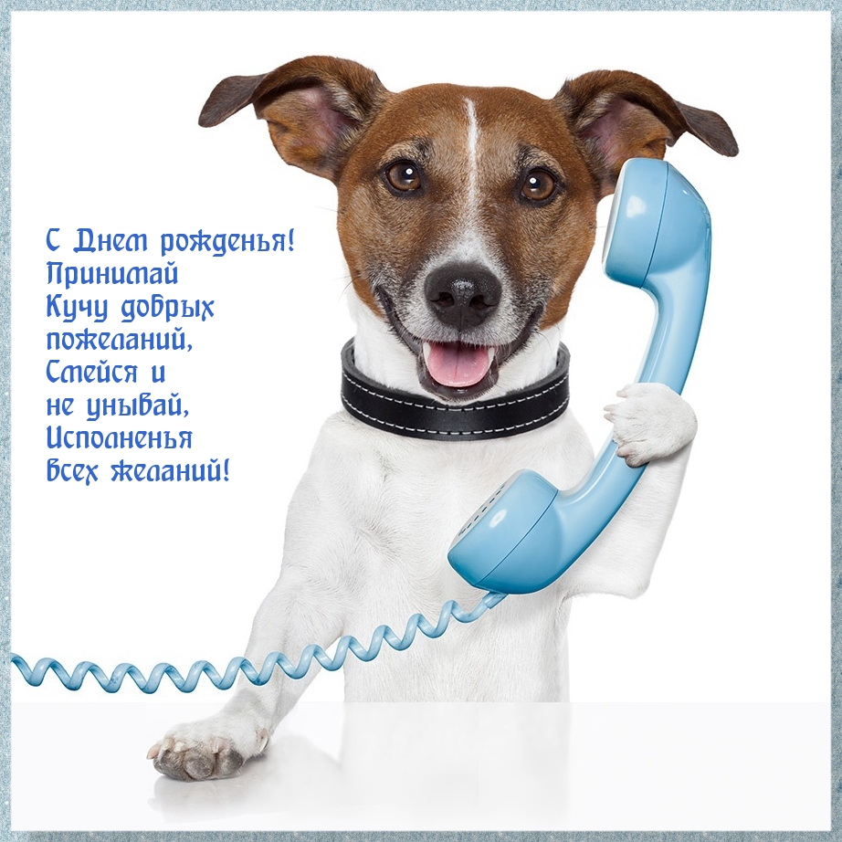 С Днем рожденья! Принимай кучу добрых пожеланий