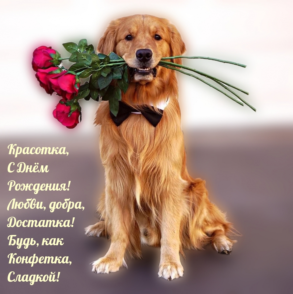 Красотка, С Днëм Рождения! Любви, добра