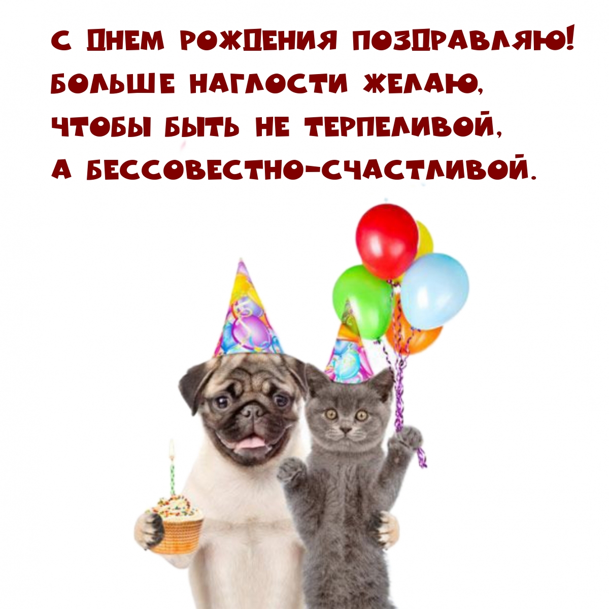 С днем рождения поздравляю! Больше наглости желаю