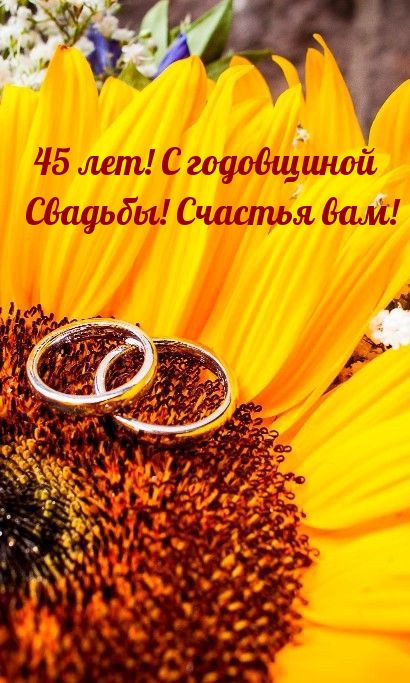 45 лет! С годовщиной Свадьбы! Счастья вам!