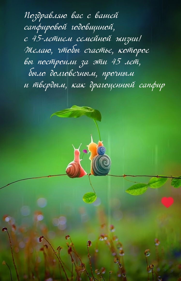 С сапфировой годовщиной, с 45-летием семейной жизни!