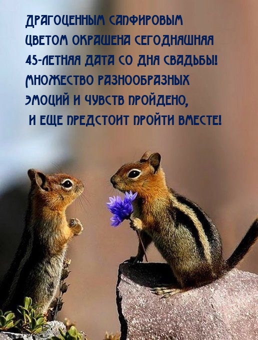 45-летняя дата со дня свадьбы!