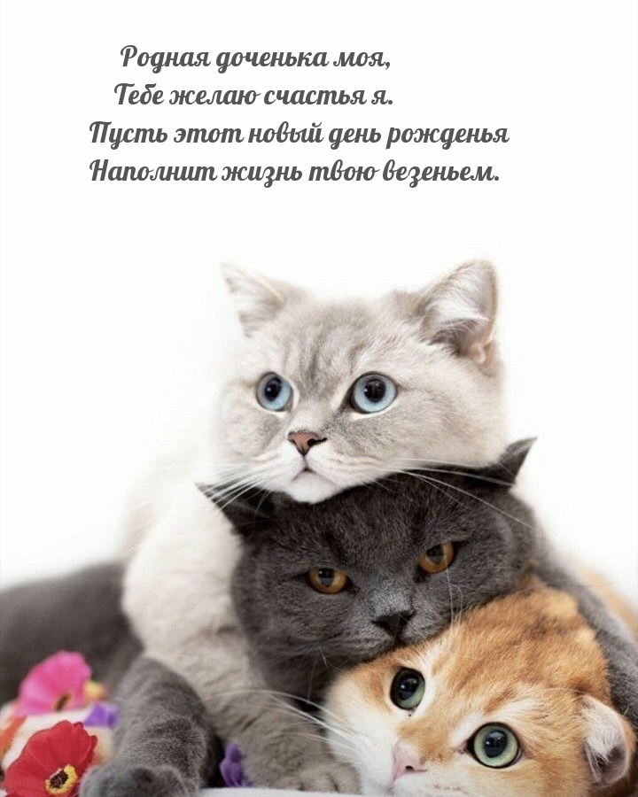 Родная доченька моя, Тебе желаю счастья я.