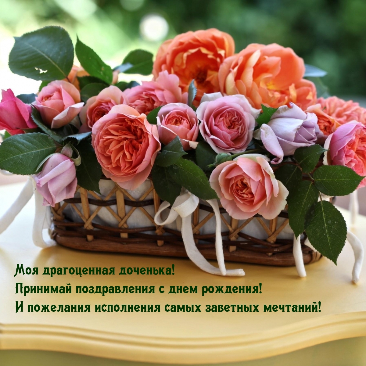 Моя драгоценная доченька! Принимай поздравления с днем рождения!