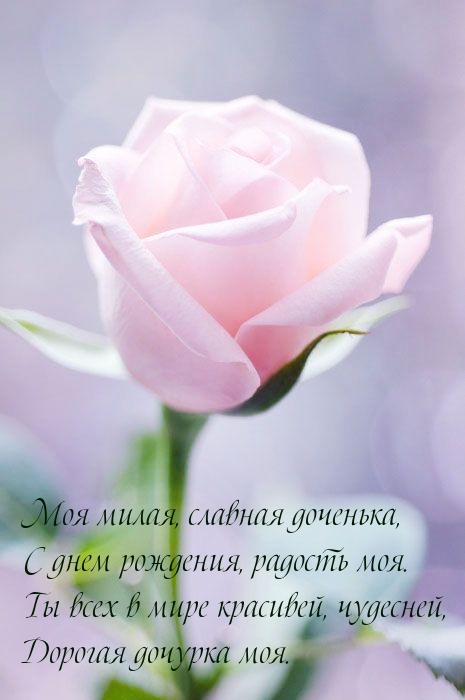 Моя милая, славная доченька, с днем рождения, радость моя.
