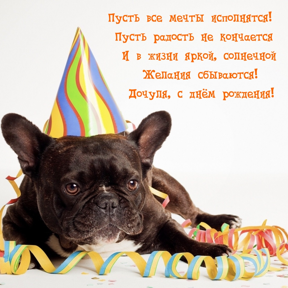 Пусть все мечты исполнятся! Дочуля, с днём рождения!