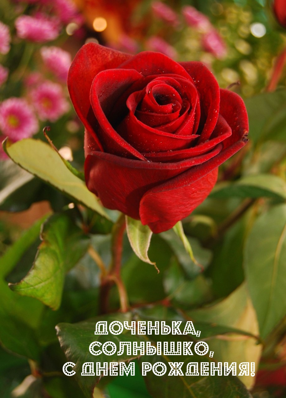 Доченька, солнышко, С днем рождения!