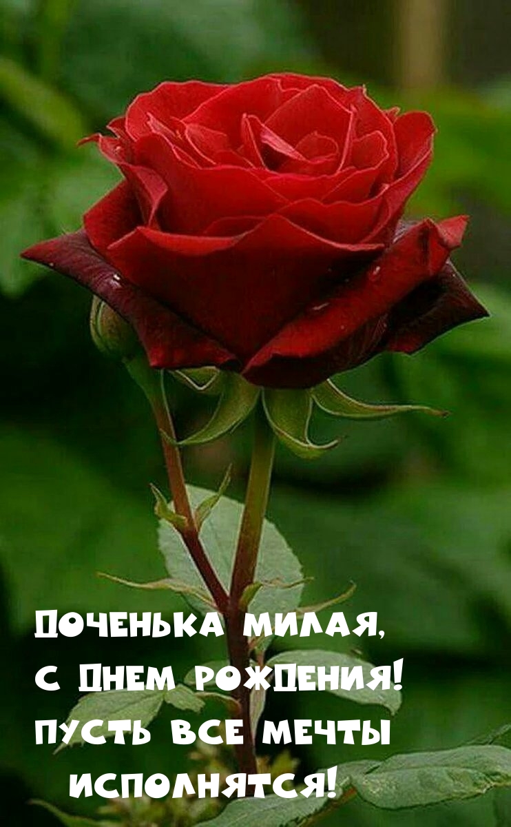 Доченька милая, с днем рождения! Пусть все мечты исполнятся!
