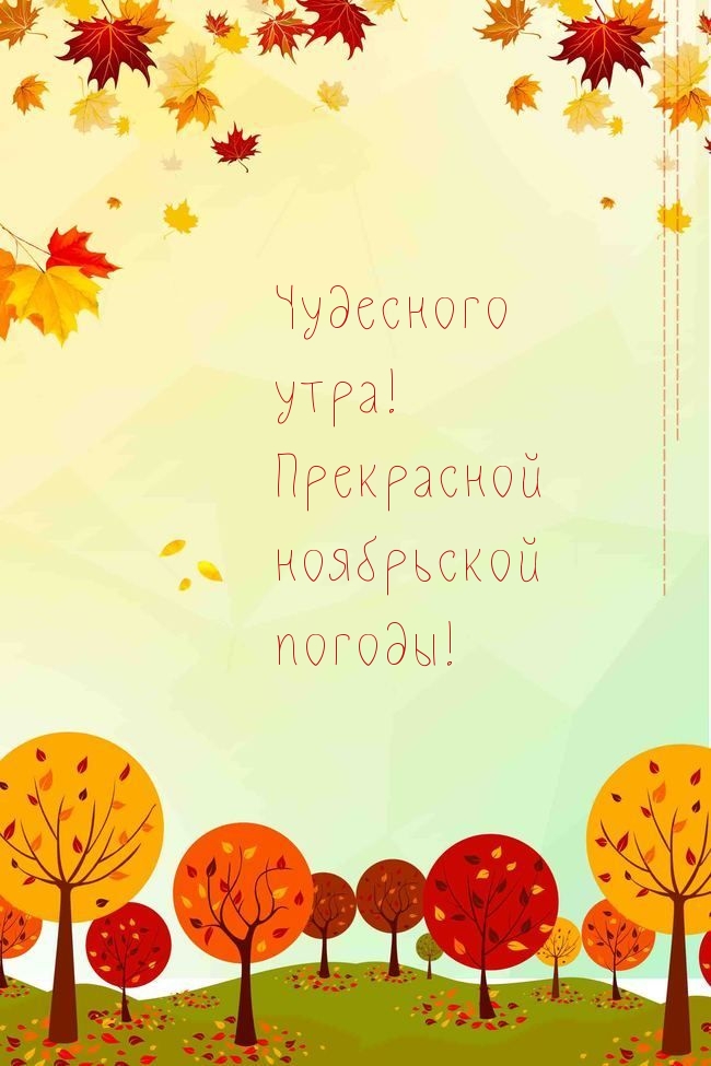 Чудесного утра! Прекрасной ноябрьской погоды!