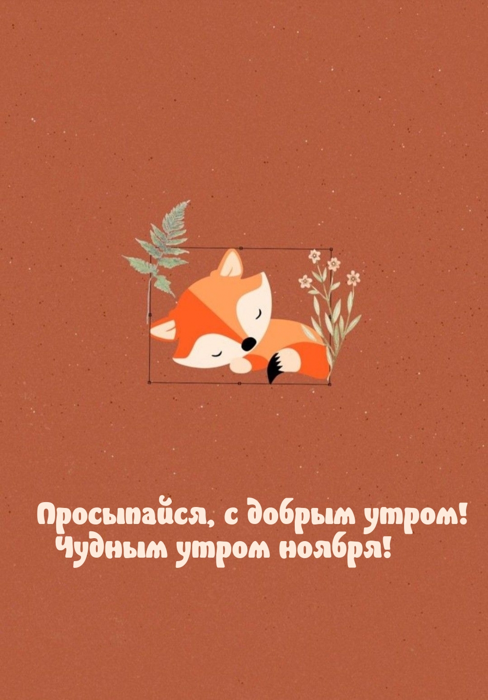 Просыпайся, с добрым утром! Чудным утром ноября!