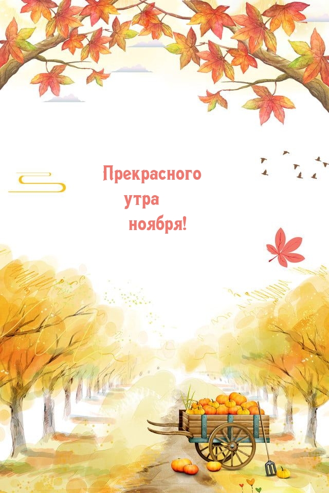 Прекрасного утра ноября!
