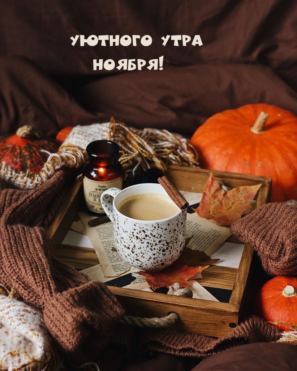 Уютного утра Ноября!