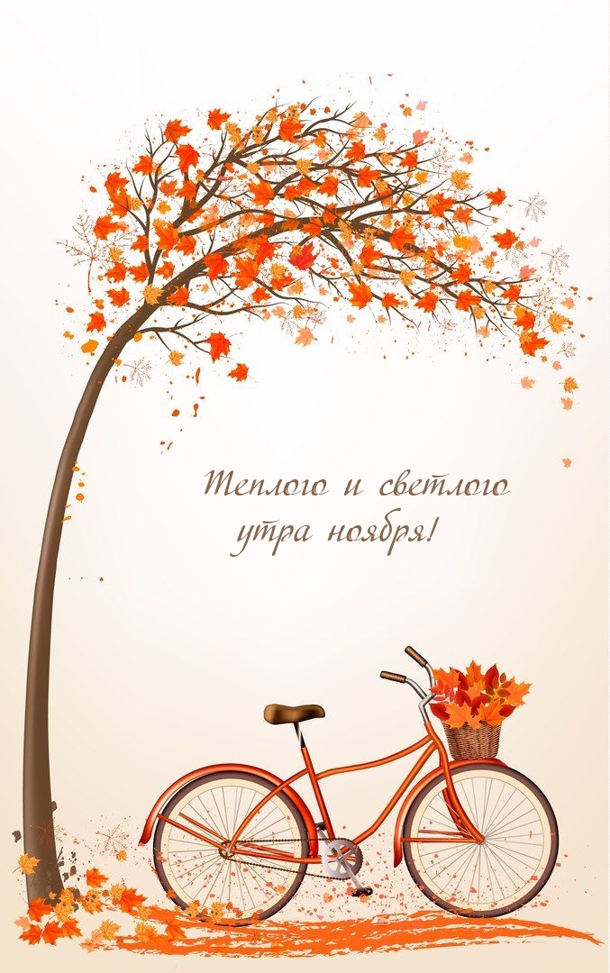 Теплого и светлого утра ноября!