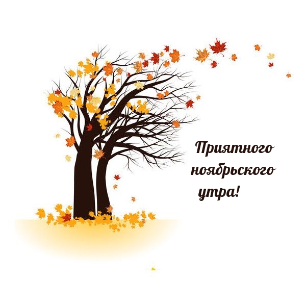 Приятного ноябрьского утра!