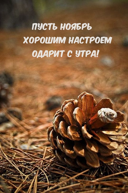 Пусть ноябрь Хорошим настроем Одарит с утра!
