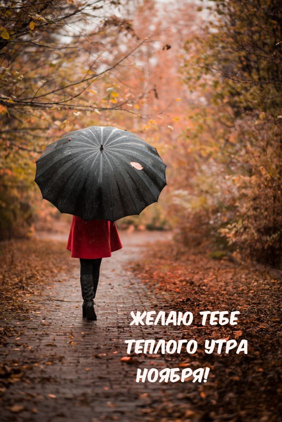 Желаю тебе Теплого утра Ноября!