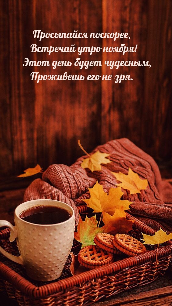 Просыпайся поскорее, встречай утро ноября!
