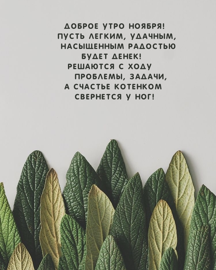 Доброе утро ноября! Пусть легким, удачным