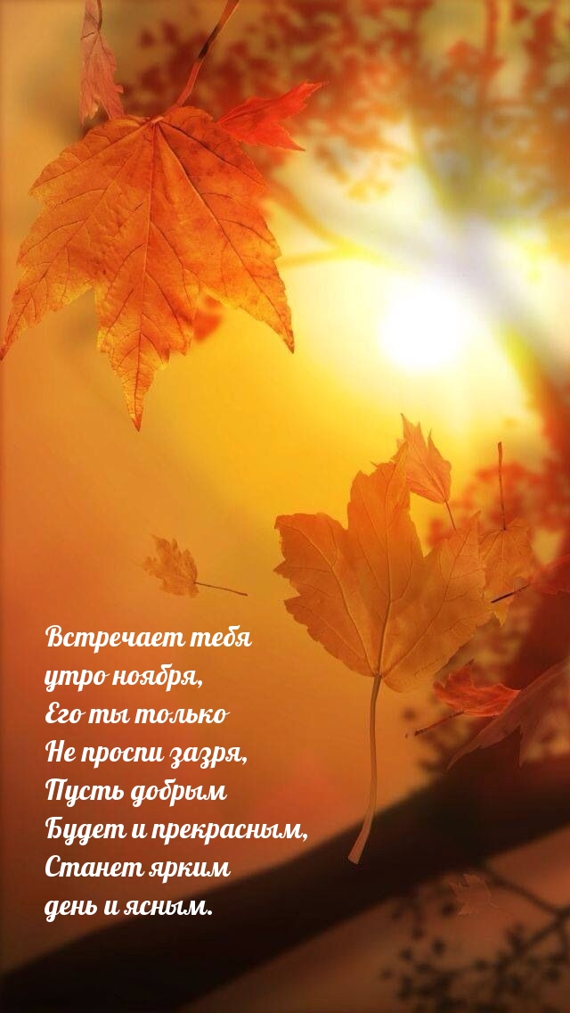 Встречает тебя утро ноября, его ты только не проспи зазря