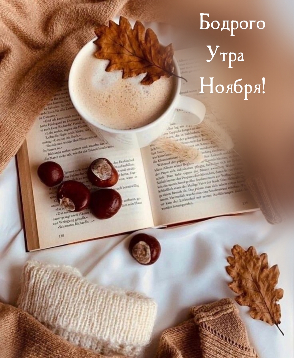 Бодрого Утра Ноября!