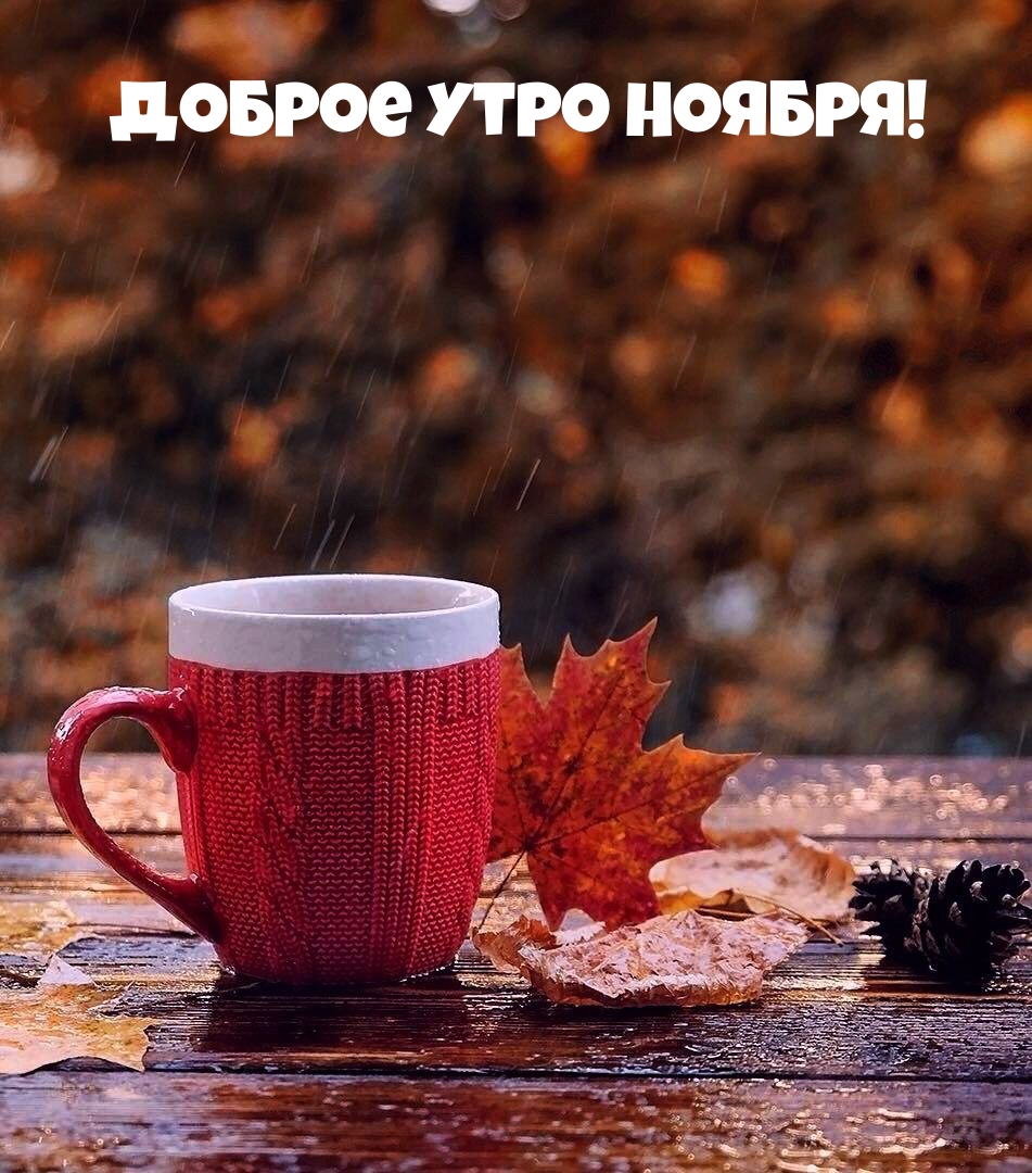 Доброе Утро Ноября!
