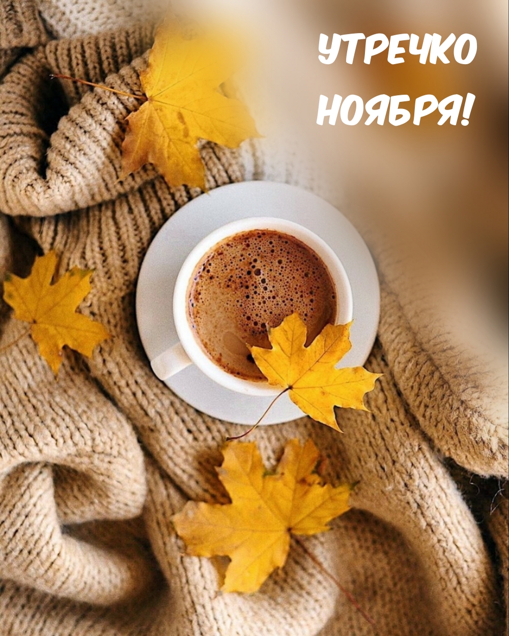 Утречко Ноября!