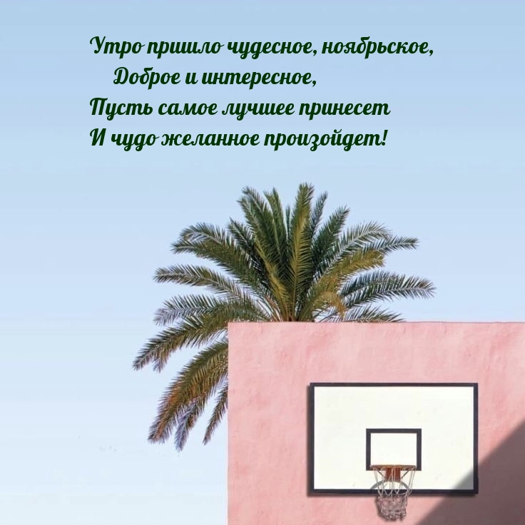 Утро пришло чудесное, ноябрьское, боброе и интересное