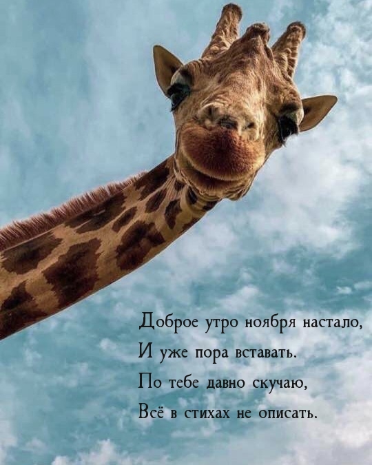 Доброе утро ноября настало, и уже пора вставать.