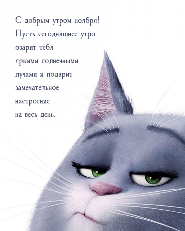 С добрым утром ноября! Пусть сегодняшнее утро озарит тебя